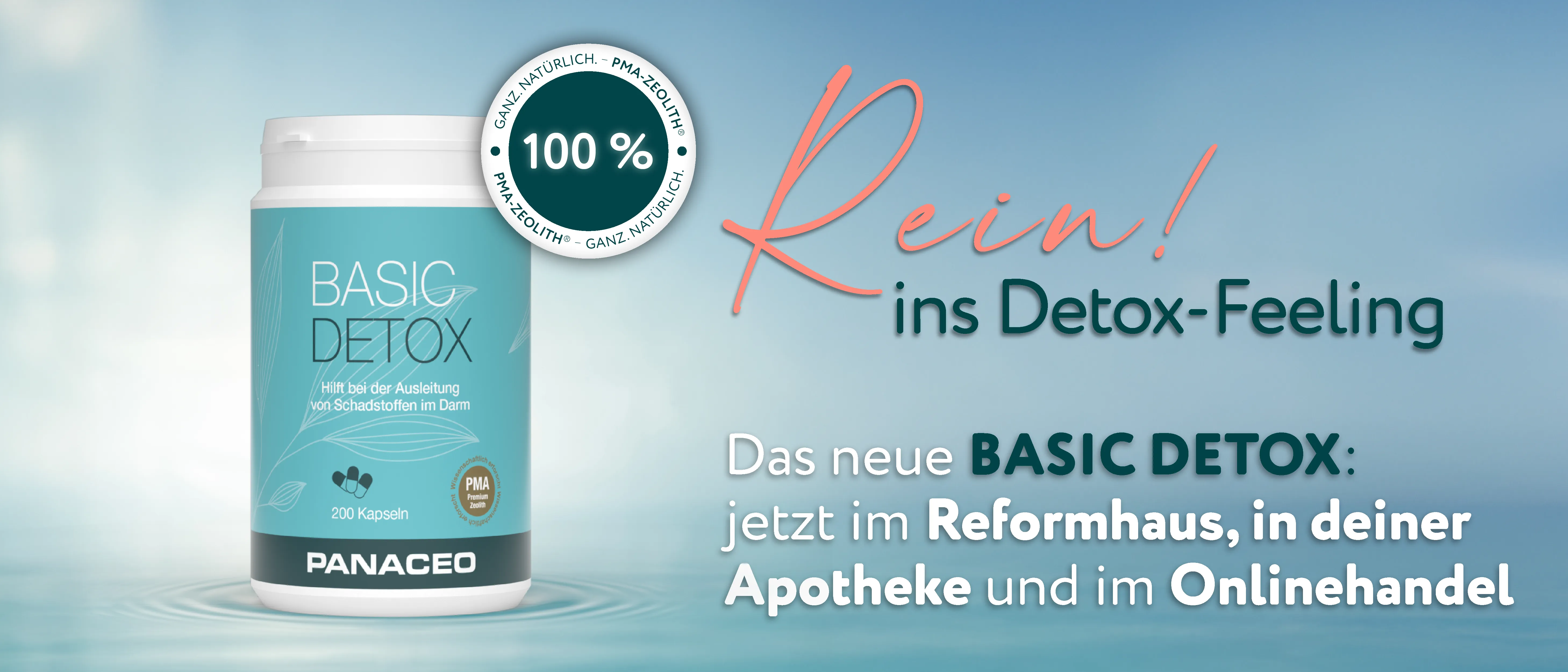 Das neue BASIC DETOX ist da!