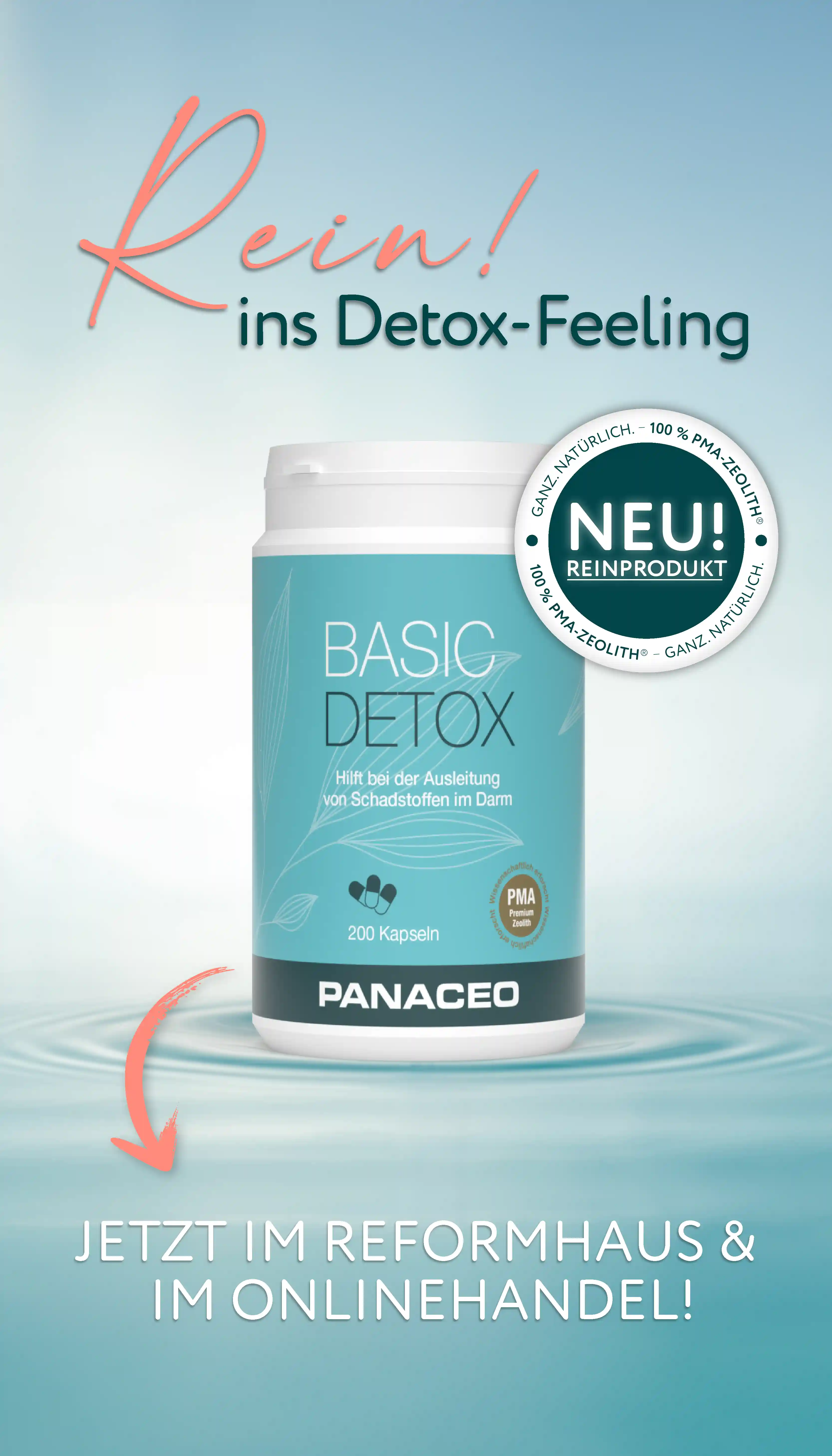 Das neue BASIC DETOX ist da!