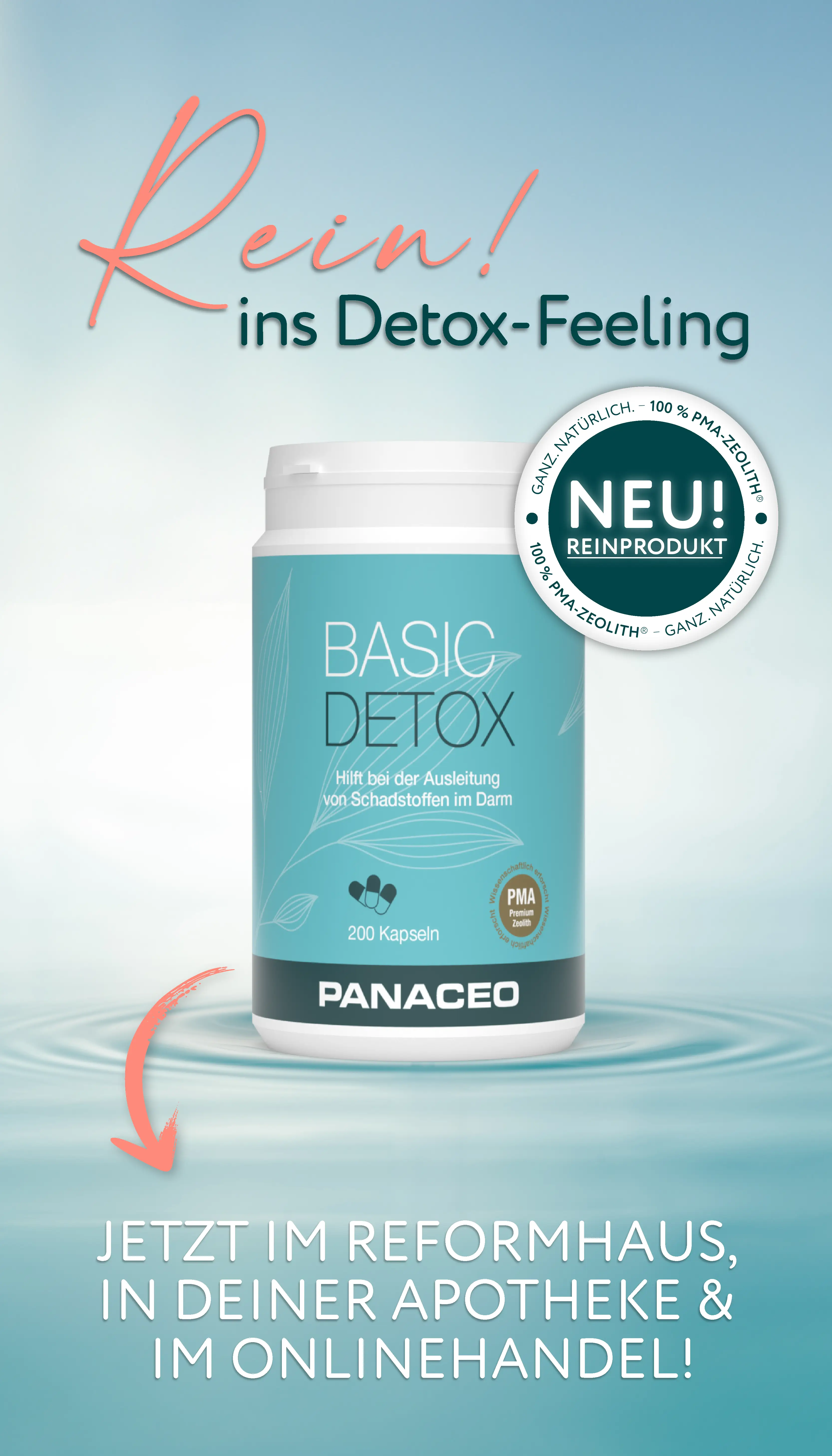 Das neue BASIC DETOX ist da!