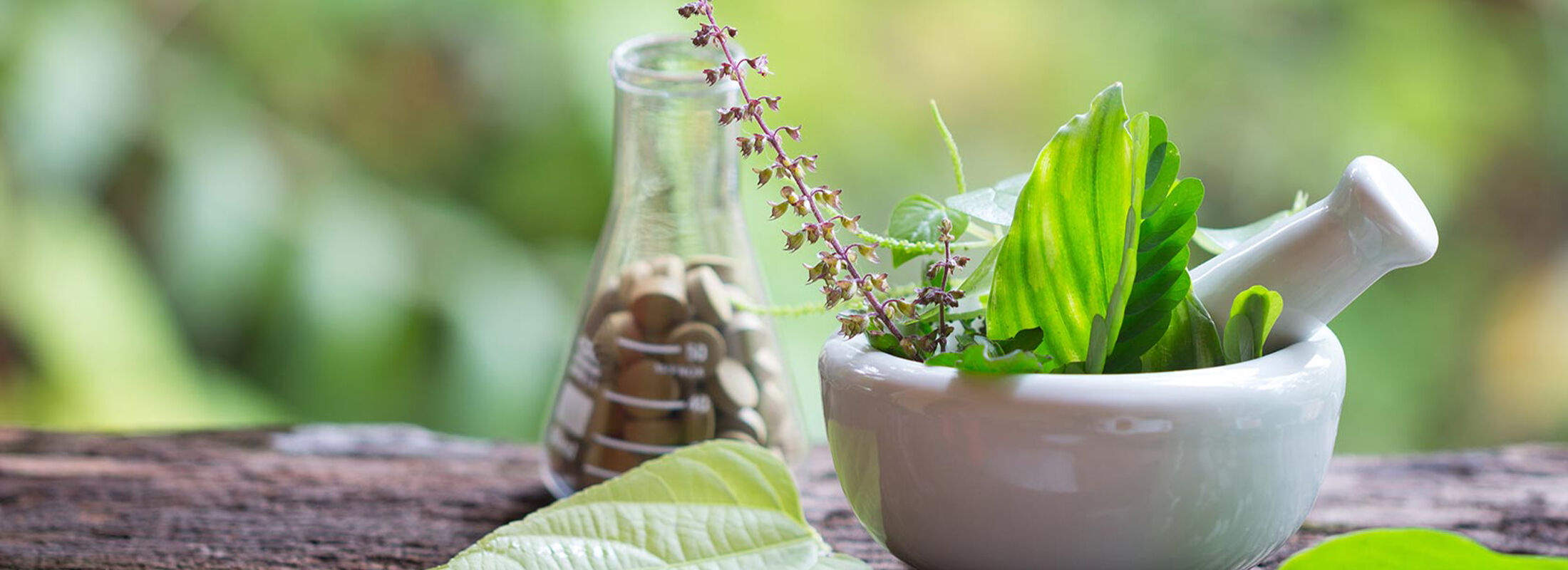 Mikronährstoffe aus der Green Health Linie von PANACEO